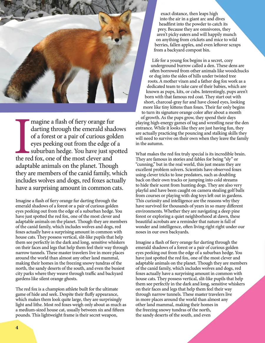 Magazine page 04