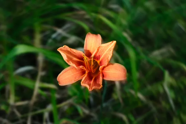 Photography piece