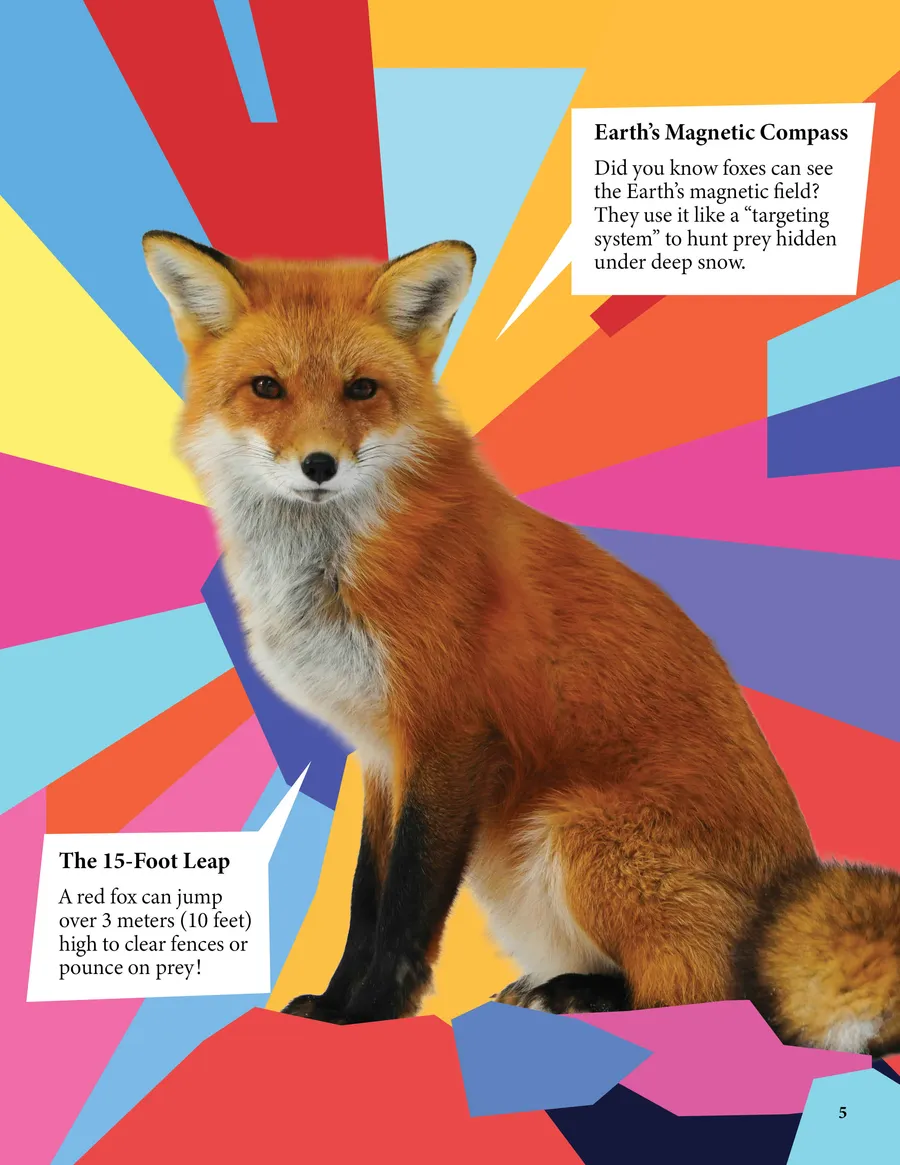 Magazine page 05