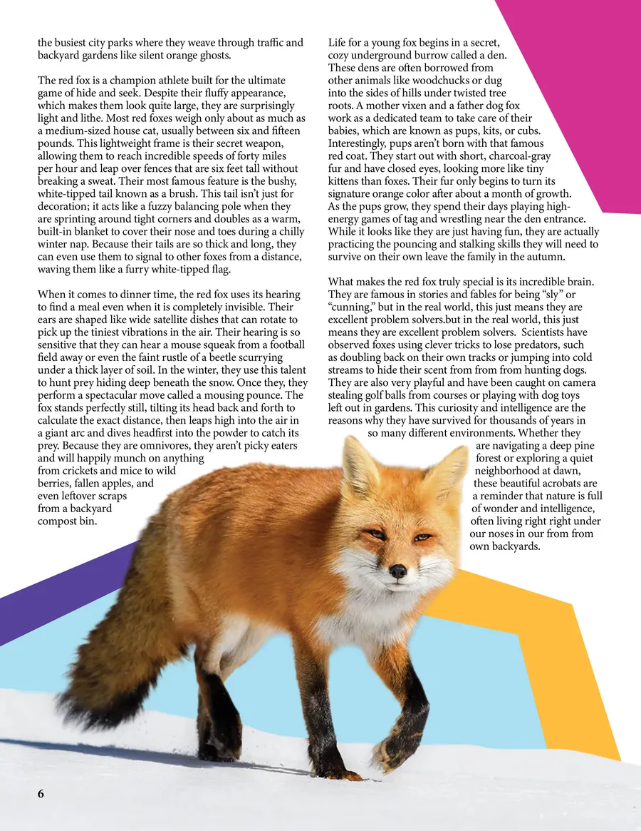 Magazine page 06