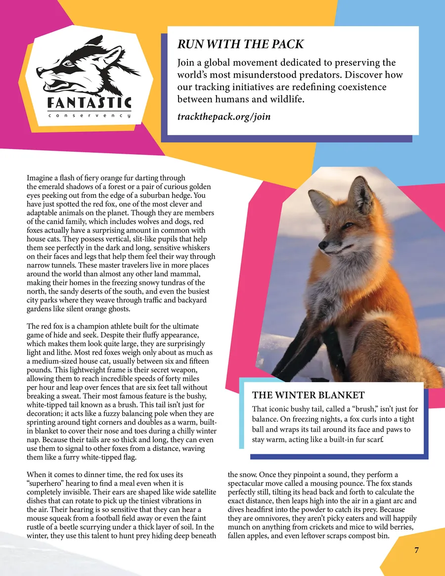 Magazine page 07