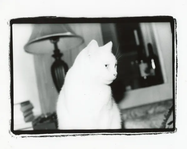 Photography piece