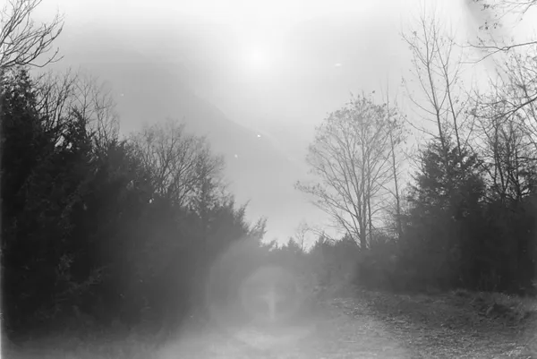 Photography piece