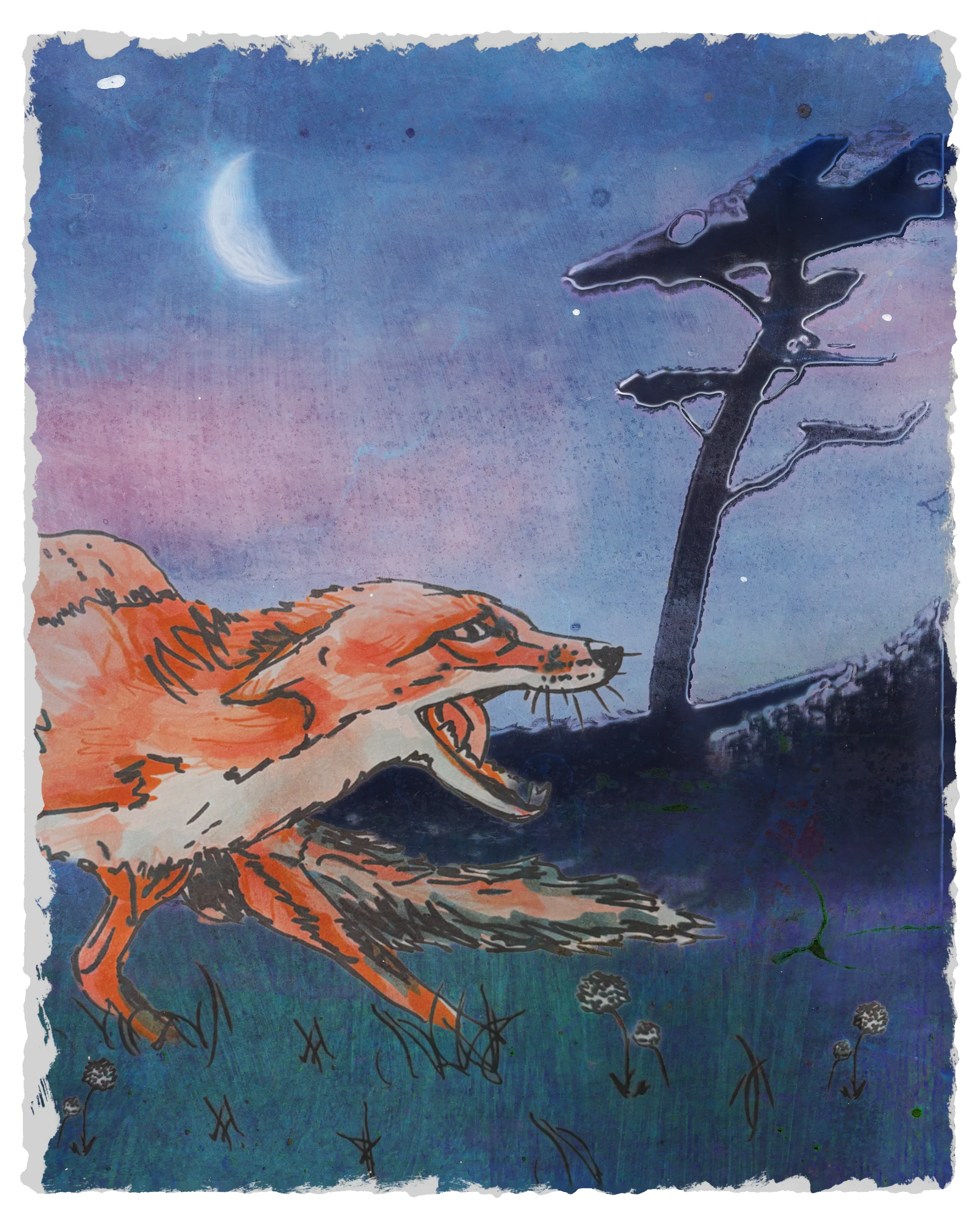 Miscellaneous Thumbnail